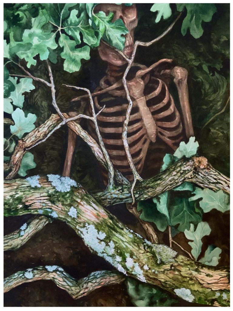 watercolor on paper of the figure of a skeleton submerged in gnarled branches of an oak tree and surrounded by bright green leaves